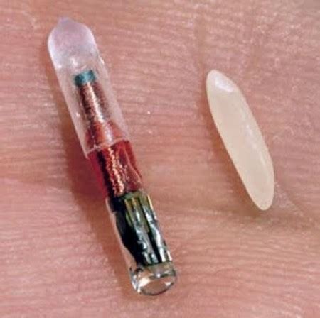 rfid brain chip snopes|PolitiFact .